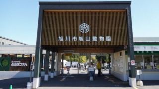 Thumbnail of post image 135